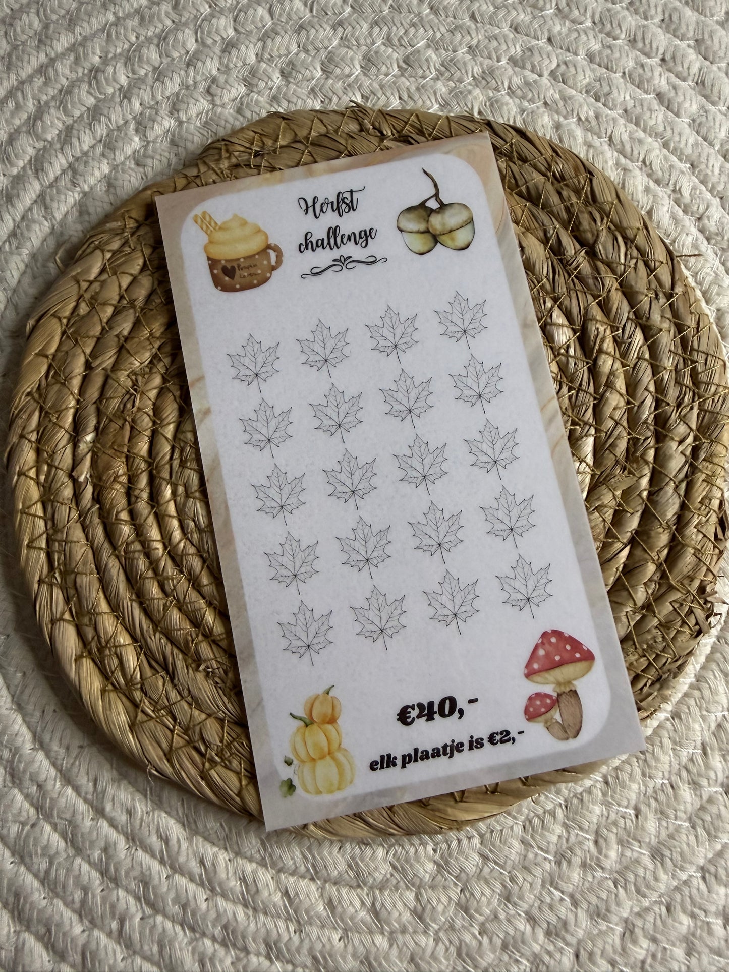 Herfst challenge marmer €40,-
