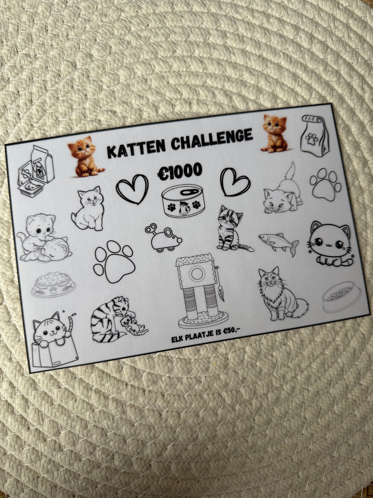 Katten challenge €1000,- A5