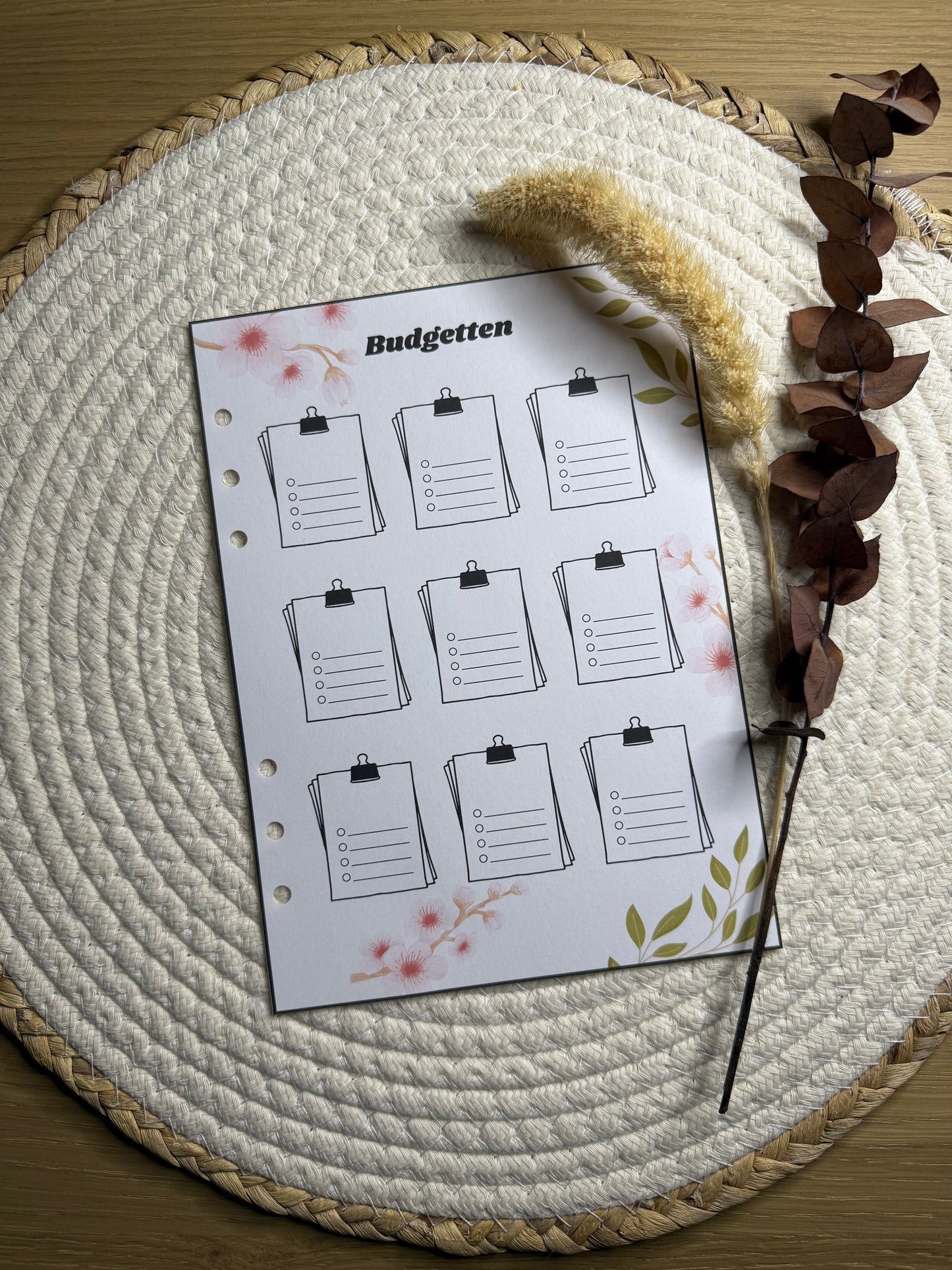 Planner budgetten