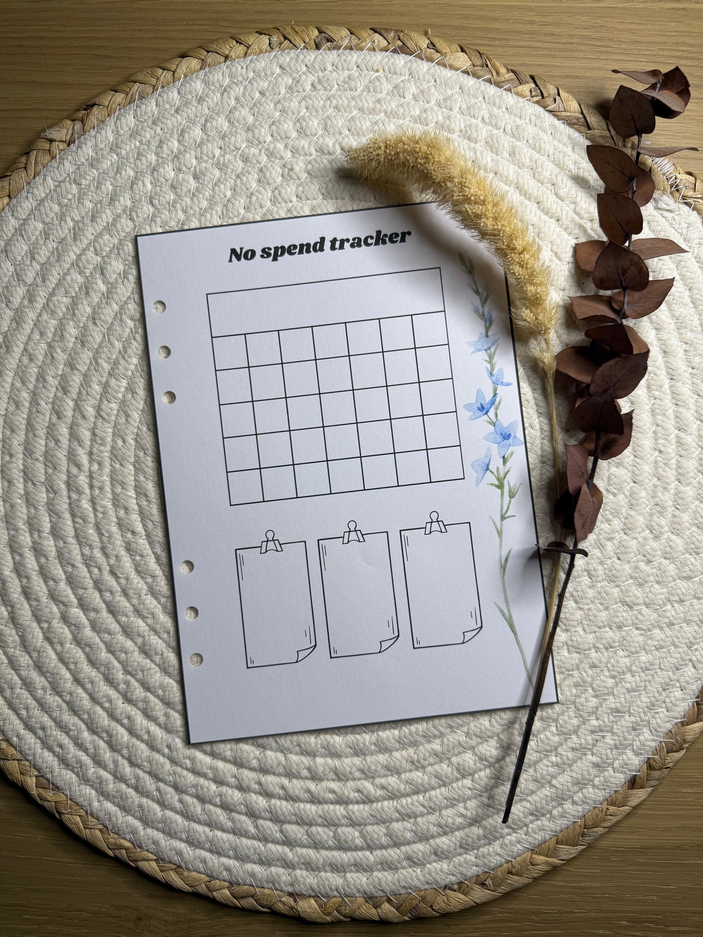 Planner no spend tracker
