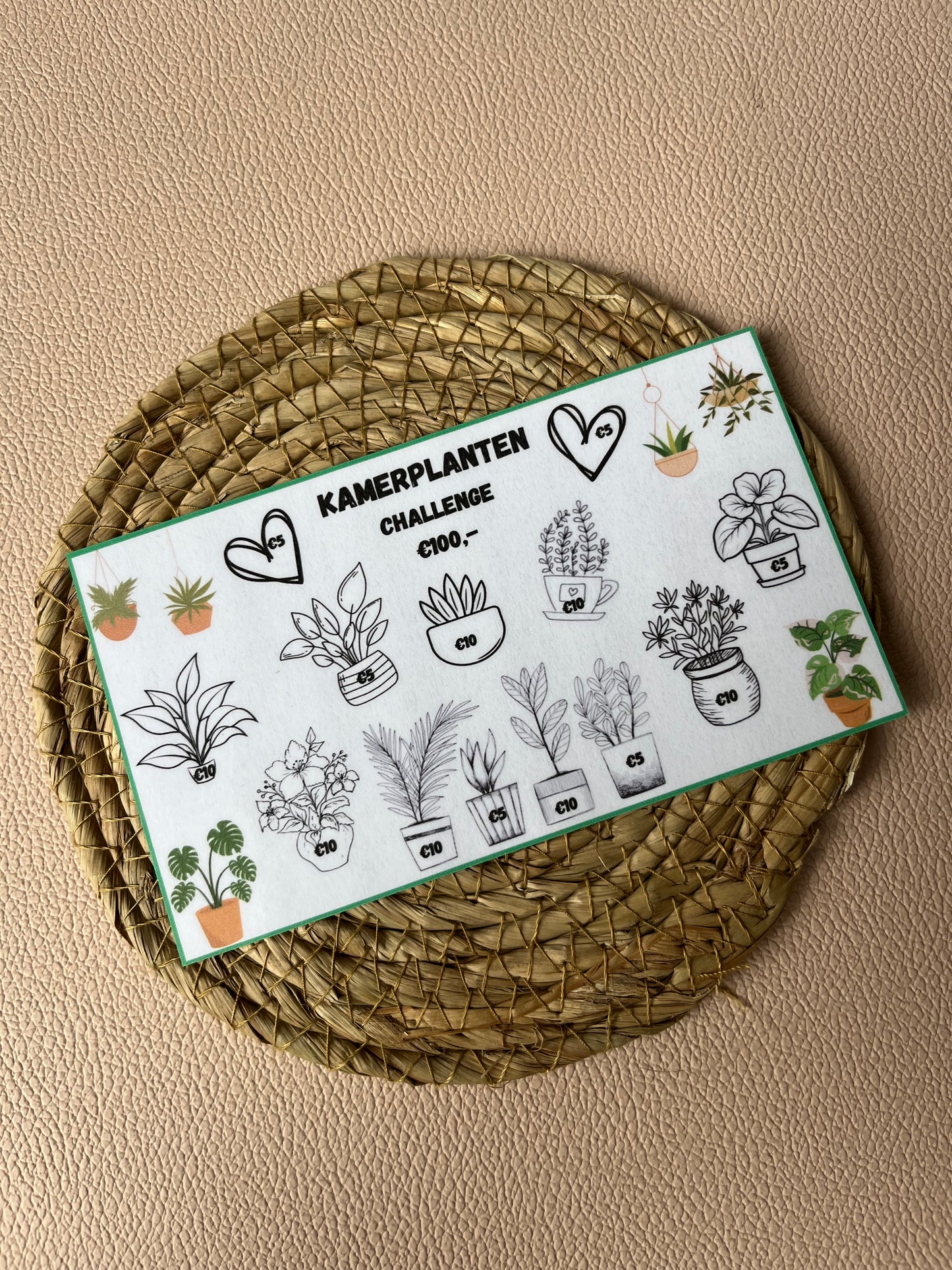 Kamerplanten challenge €100